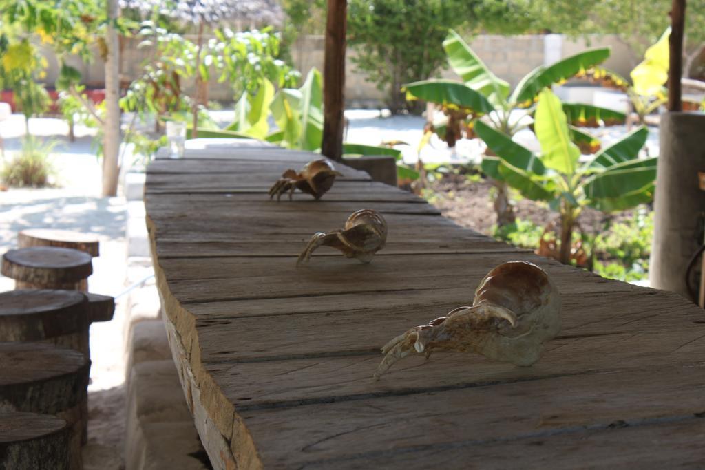 Mfumbwi Lodge Jambiani  Ngoại thất bức ảnh