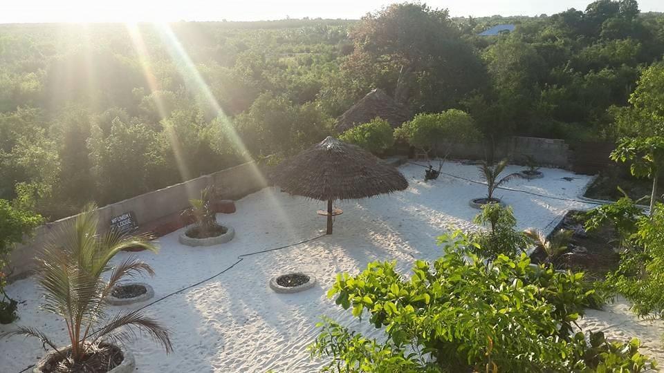 Mfumbwi Lodge Jambiani  Ngoại thất bức ảnh